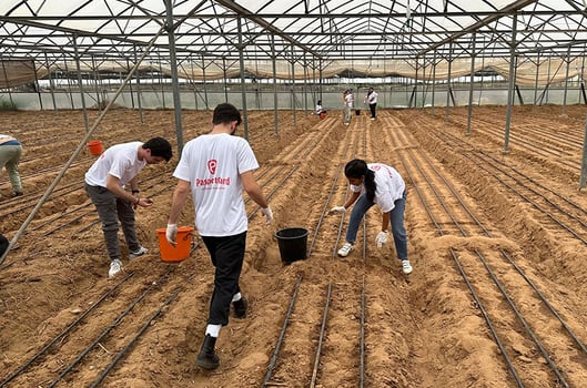 עובדי ועובדות פספורטכארד בפעילות התנדבותית, באדיבות פספורטכארד 